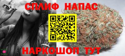 Альфа ПВП Бердск