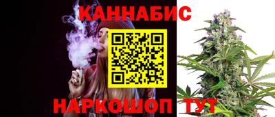 Альфа ПВП Бердск