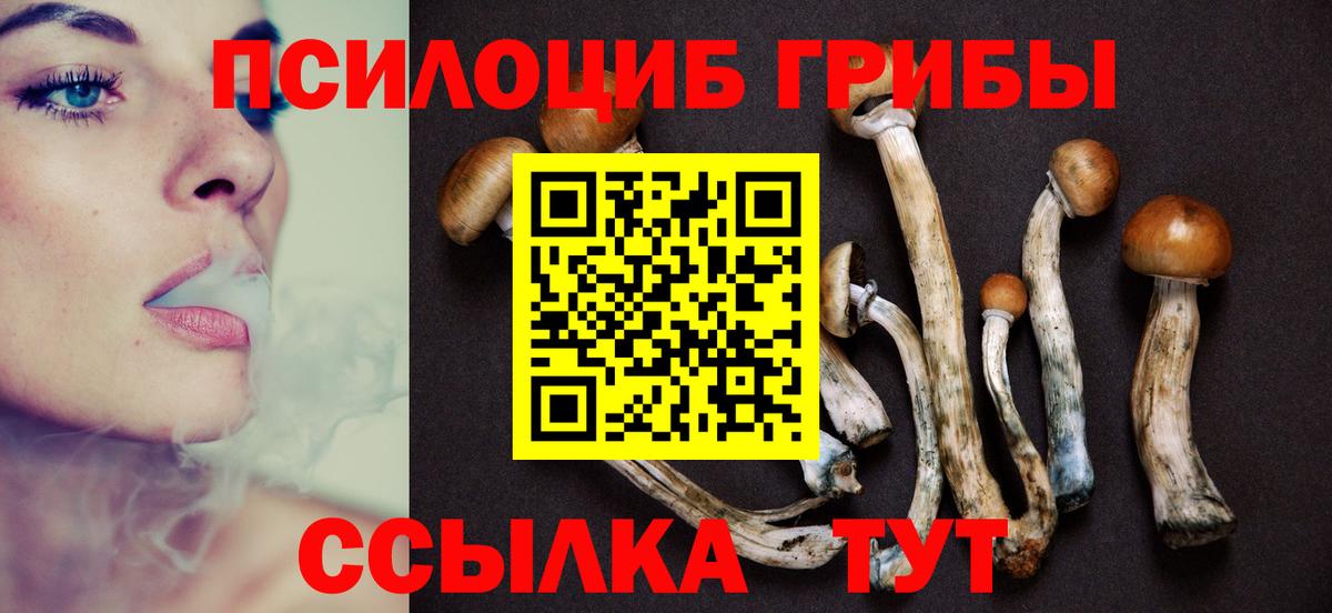 Галлюциногенные грибы Cubensis  Вход с VPN  Анжеро-Судженск  Галлюциногенные грибы Psilocybine cubensis 